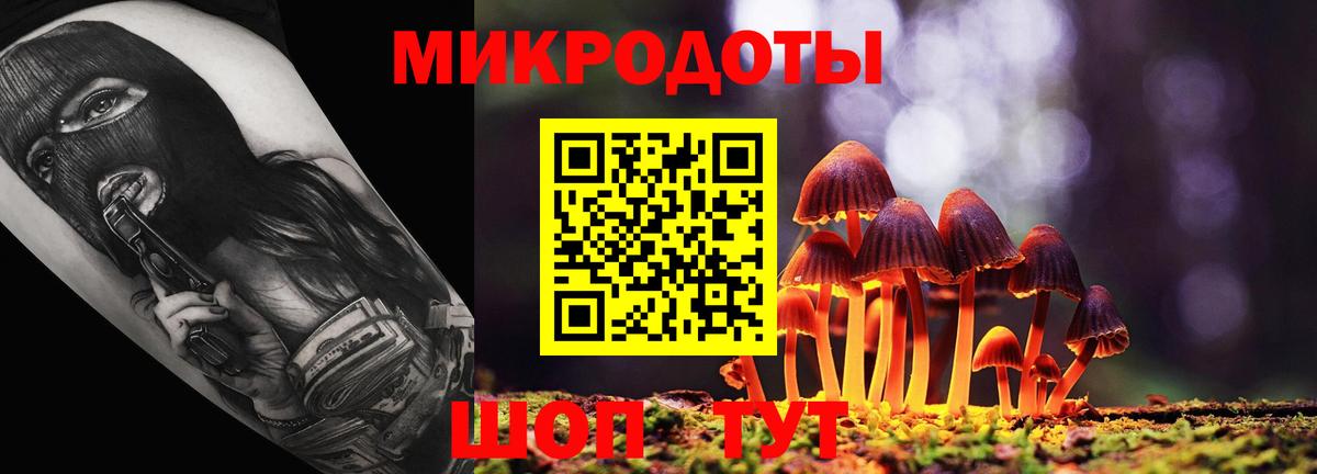 Новозыбков  Псилоцибиновые грибы Cubensis  Вход с VPN  Галлюциногенные грибы Psilocybe 